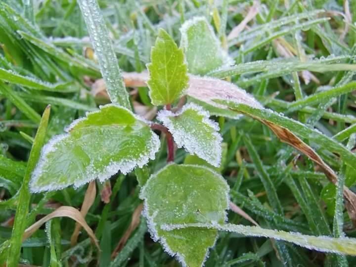 Photo: Department of National Parks, Wildlife and Plant Conservation / Facebook