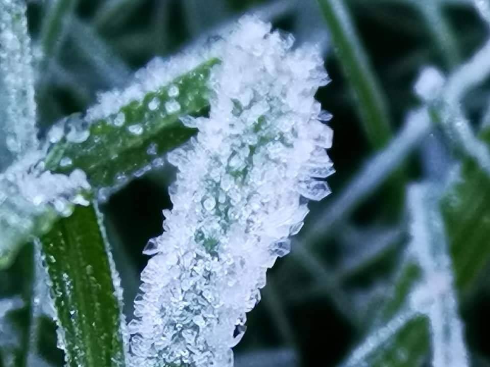 Photo: Department of National Parks, Wildlife and Plant Conservation / Facebook