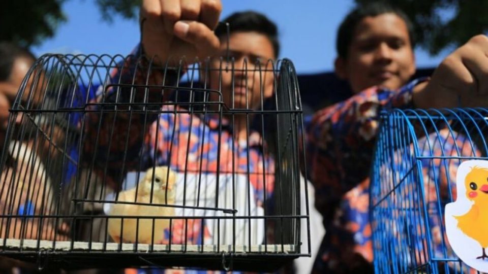 Bandung administration kicked off the program to combat children’s mobile phone addiction last week by distributing some 2,000 chicks to 10 elementary and two junior high schools in Gedebage and Cibiru sub-districts. Photo: Humas Pemkot Bandung