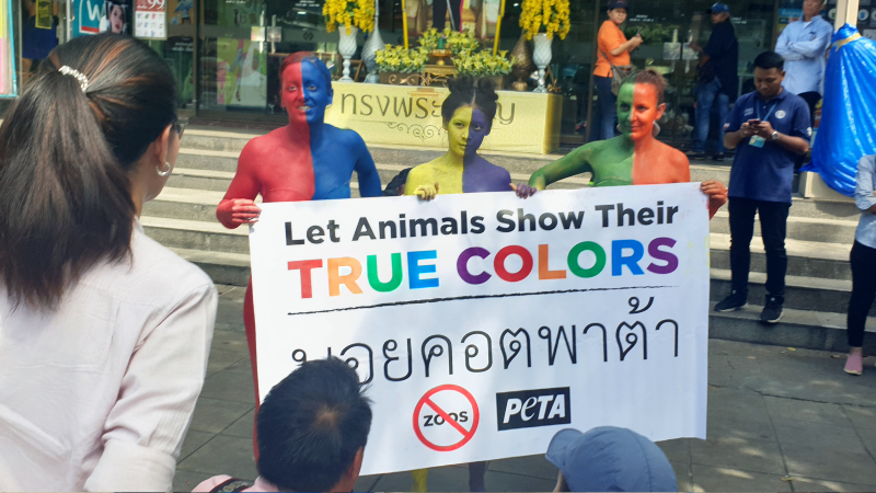 PETA supporters demonstrate Monday outside Bangkok’s Pata Zoo. Photo: PETA