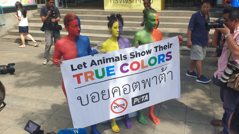 Members of PETA demonstrating at Bangkok’s Pata Zoo Monday. Photo: PETA