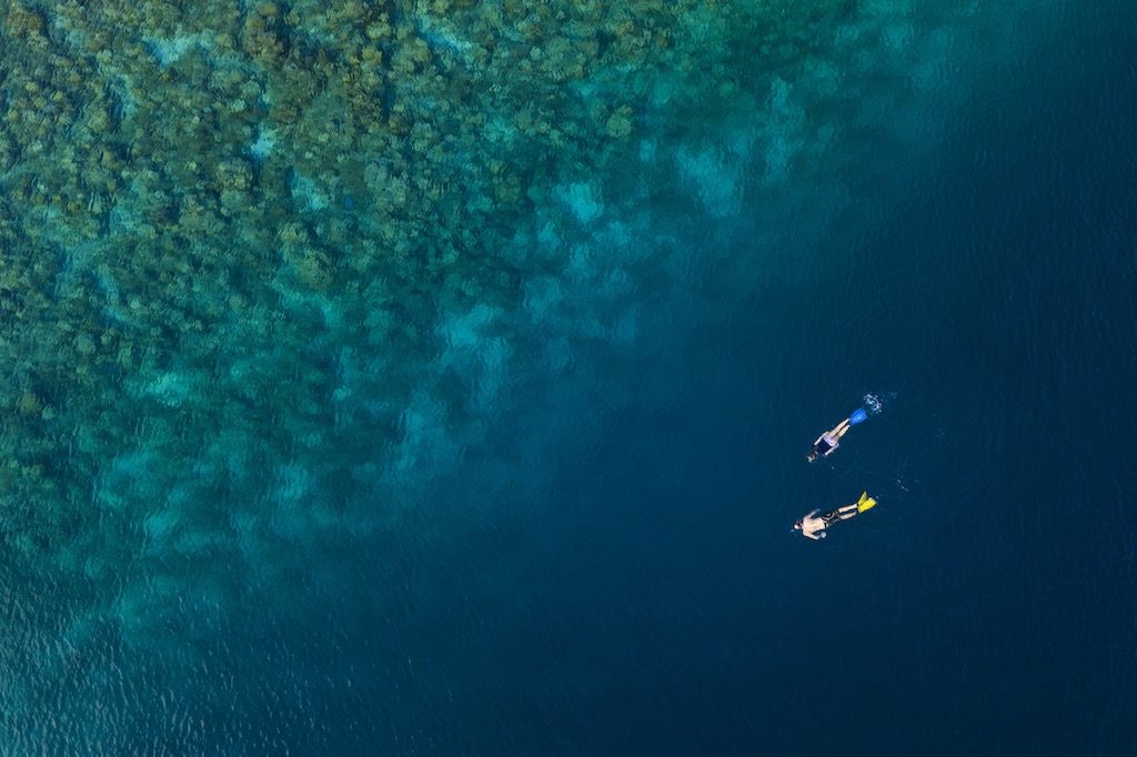 Heck yes to the snorkeling. Photo: The Standard Huruvalhi Maldives