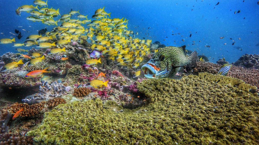 Photo: The Standard Huruvalhi Maldives