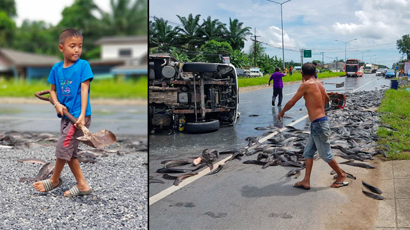 2,000 kilograms of catfish spilled out on the side of a Krabi street. Photo: Teambigkren / Facebook
