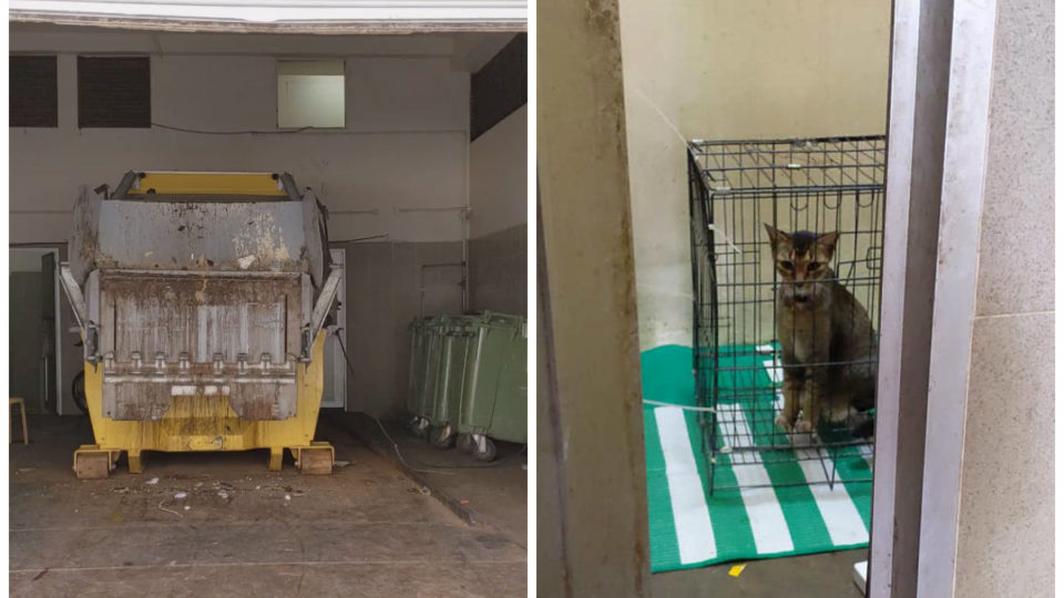 The Tampines rubbish center where the cat was found deprived of his freedom. Photos: Rachel YukiMizu/Facebook