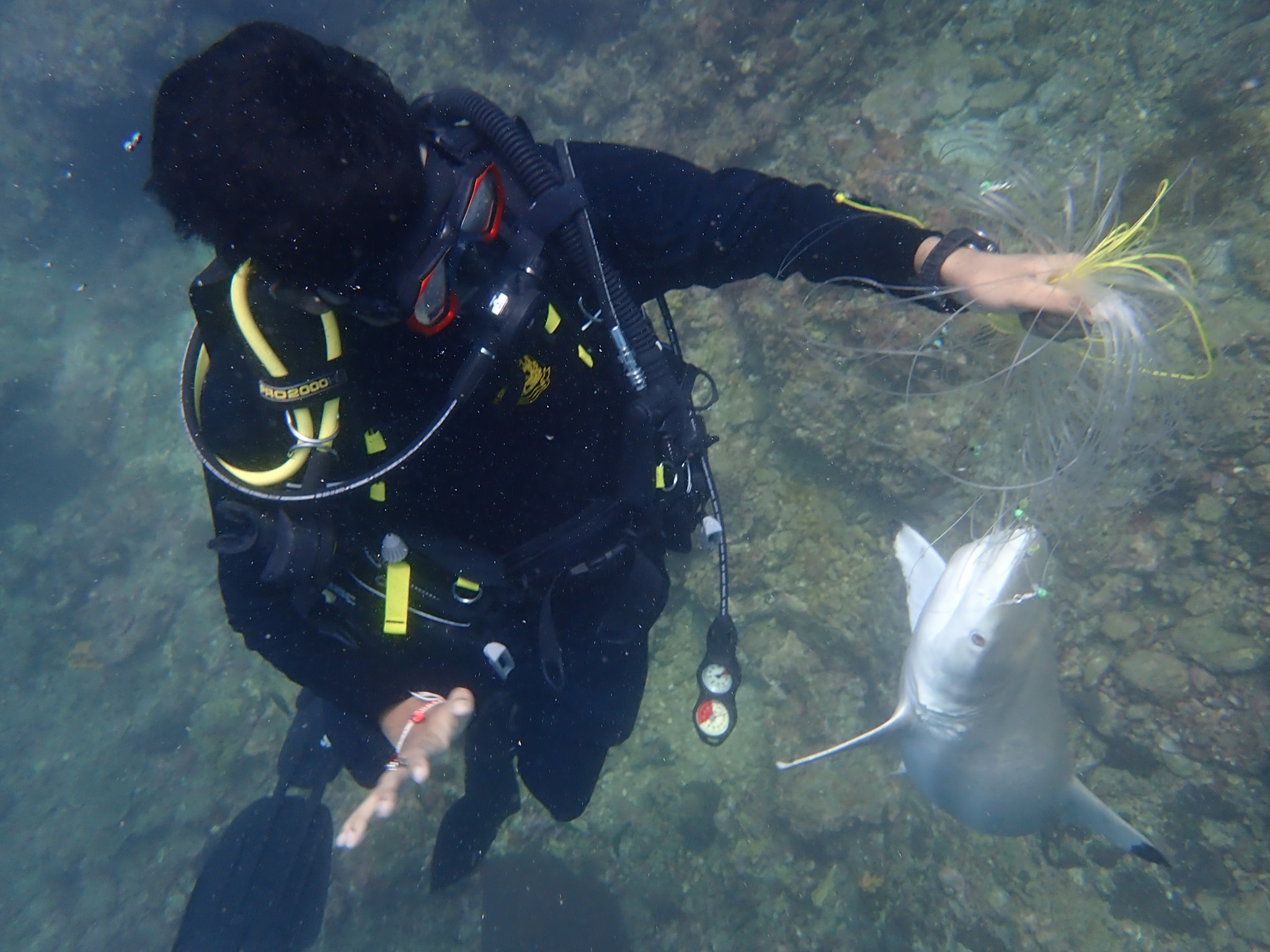 Photo: Krisda Thirawut / Facebook