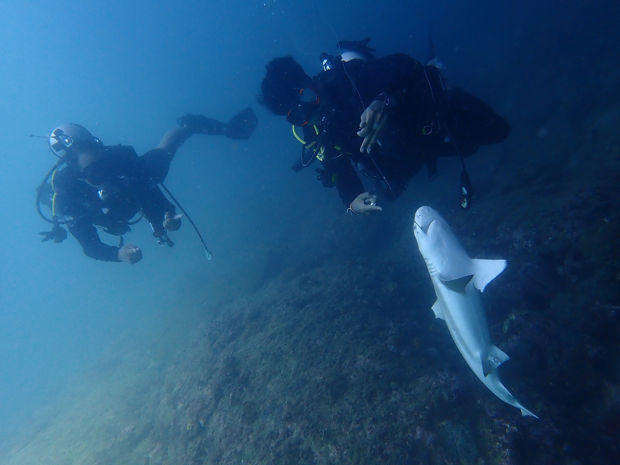 Photo: Krisda Thirawut / Facebook