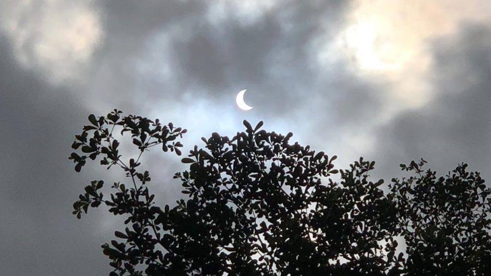 Partial eclipse captured from Jurong Lake Gardens at nearly 1pm. Photo: Dorothea Anastasia Poh/Facebook