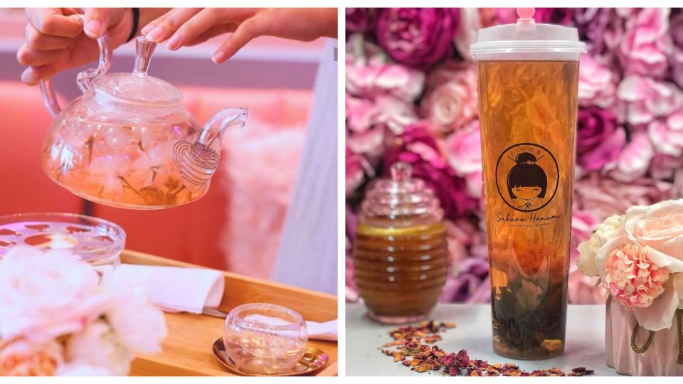 <I>Photo: Sakura Hanami</I>