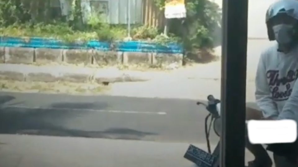 The man was filmed while jacking off by the owner of the beauty salon. Photo: Info Singaraja  / Instagram