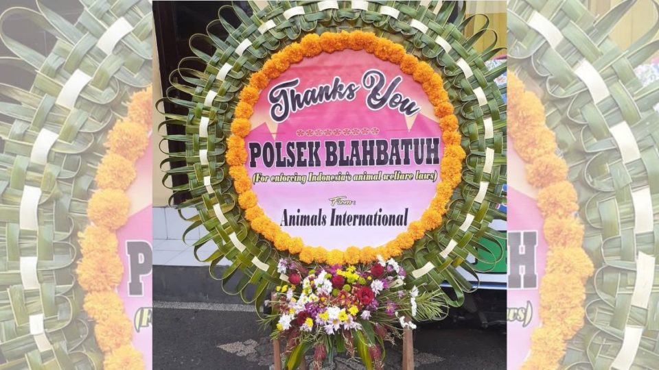 One of the flower boards at Blahbatuh Police Station. Photo: Bali Animal Defender / Instagram