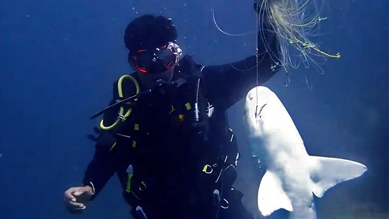National park officials with a dead blacktip reef shark caught in fishing gear. Photo: Krisda Thirawut / Facebook

