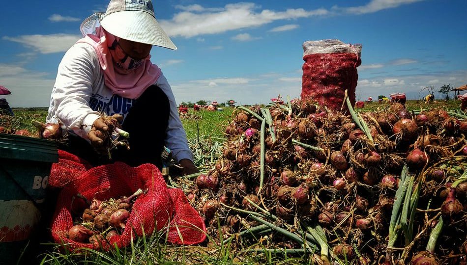 <i>Photo: ABS-CBN News</i>