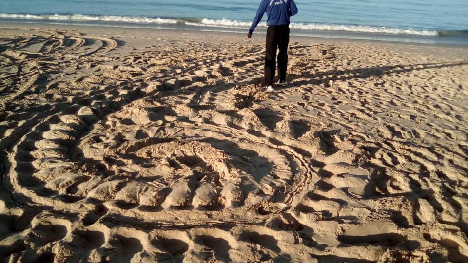 A spot where thieves stole a rare leatherback turtle’s clutch of eggs early Saturday morning. Photo: Thon Thamrongnawasawat / FB
