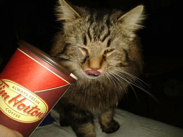 Photo: Tim Hortons / FB