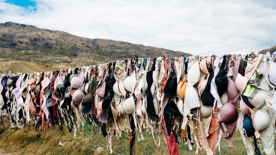 <i>Pablo Heimplatz / Unsplash</i>