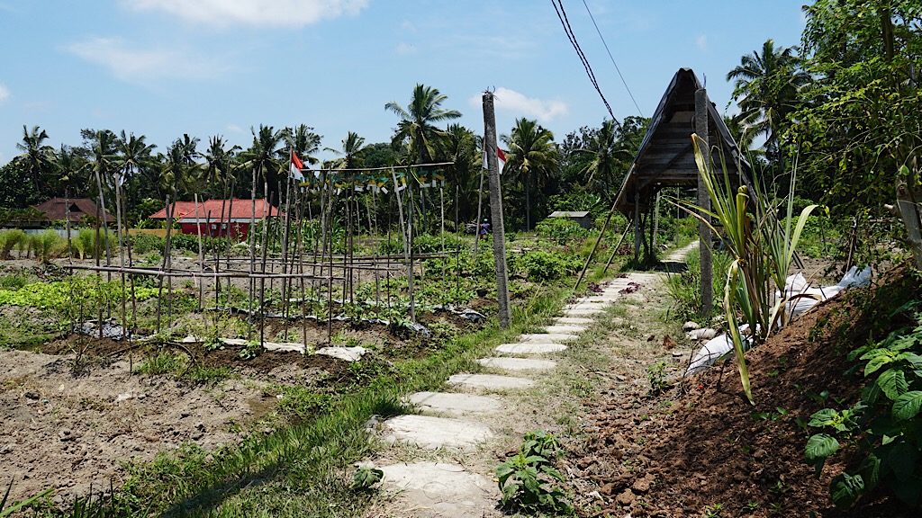 The garden of Hars Garden. Photo: Coco Travel