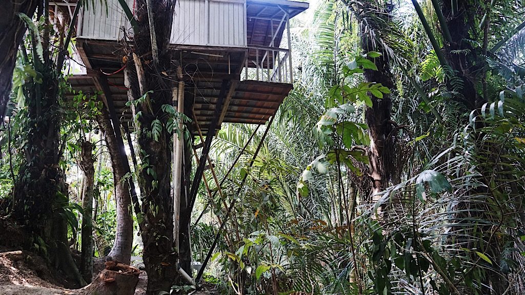 The 'Love Romantic' treehouse. To the right is a huge drop, featuring a little river. Photo: Coco Travel