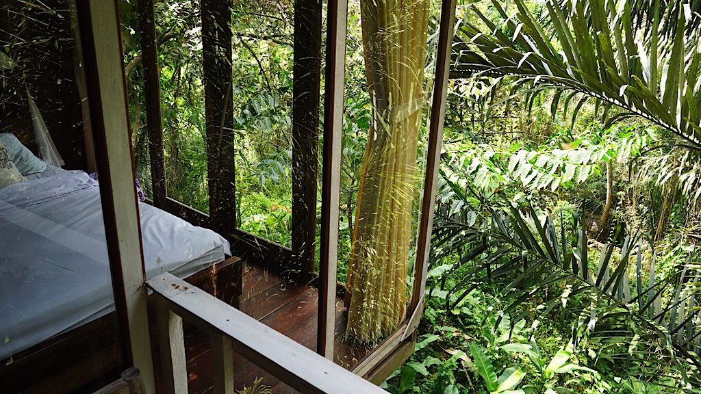 Taken from the terrace of the 'Love Romantic' treehouse. Photo: Coco Travel