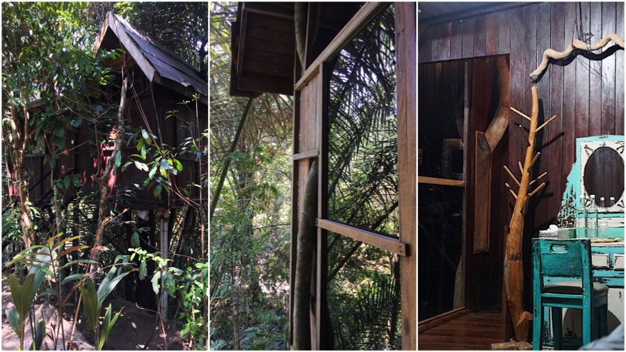 The 'nature power' treehouse. Photos: Coco Travel