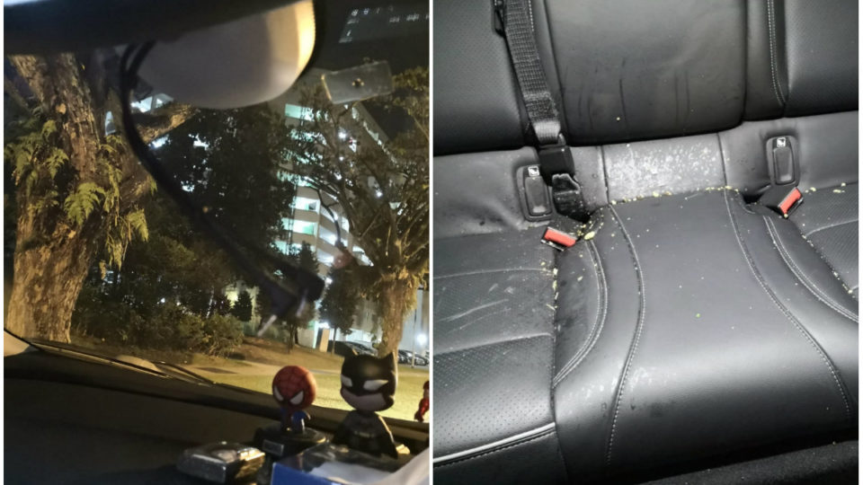 Photos purportedly showing the aftermath of the assault, with dashcam gone and puke in the backseat. Photos: Haileyluv Jiiny/Facebook