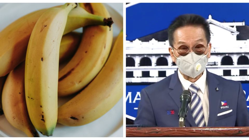 Salvador Panelo has gone bananas. Photo: Unsplash and screenshot from Radio Television Malacañang