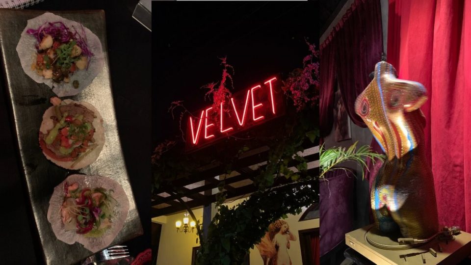 Velvet is located in Ubud. Photos: Coconuts Media