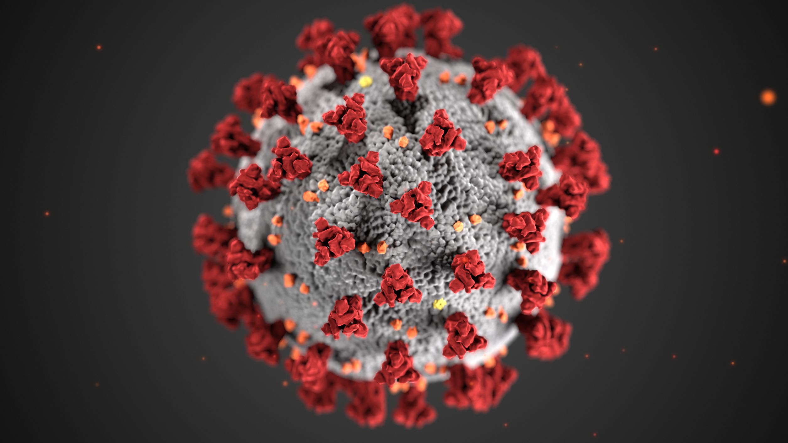 Illustration of SARS-CoV-2, the virus that causes the respiratory illness known as COVID-19. Photo: Centers for Disease Control and Prevention (CDC) 