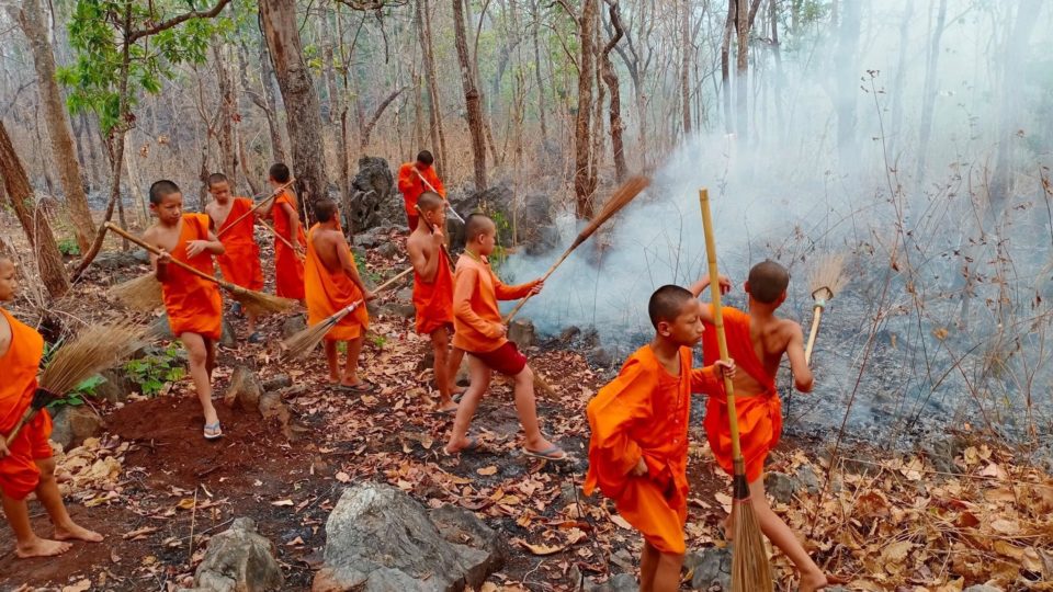 Buddhist novices dispatched to tamp out smoldering remains in Lamphun’s Lhi district. 
