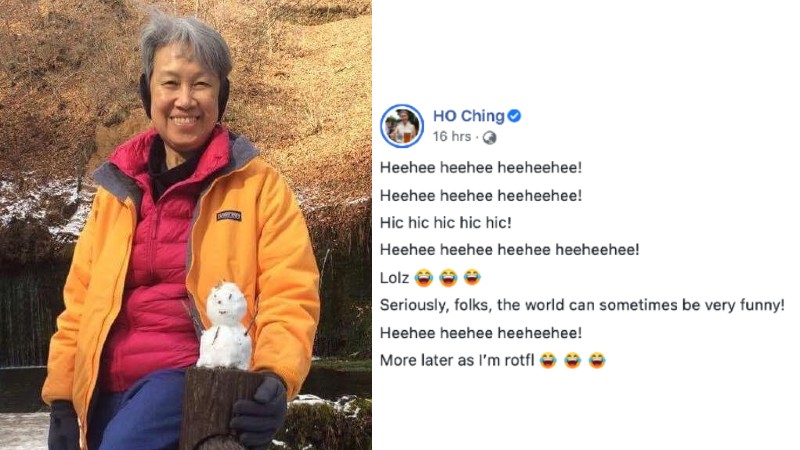 At left, Ho Ching in a 2017 photo. At right, one of her latest head-scratchers posted online. Photos: Ho Ching/Facebook
