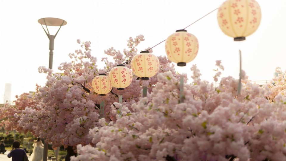Fresh(ish) air? Check. Cute, fake flowers? Also check. Photo: Harbour North