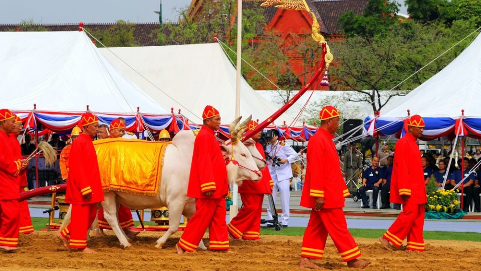 A file photo of the royal ploughing ceremony in Thailand. Photo: Tris_T7 / Wikimedia Commons
