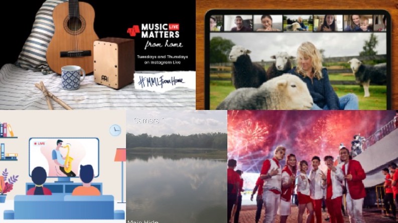 A collage of things you can do without leaving home. Images: Clockwise from top left, Music Matters Live, Airbnb, MICapella, NParks, Esplanade Offstage.
