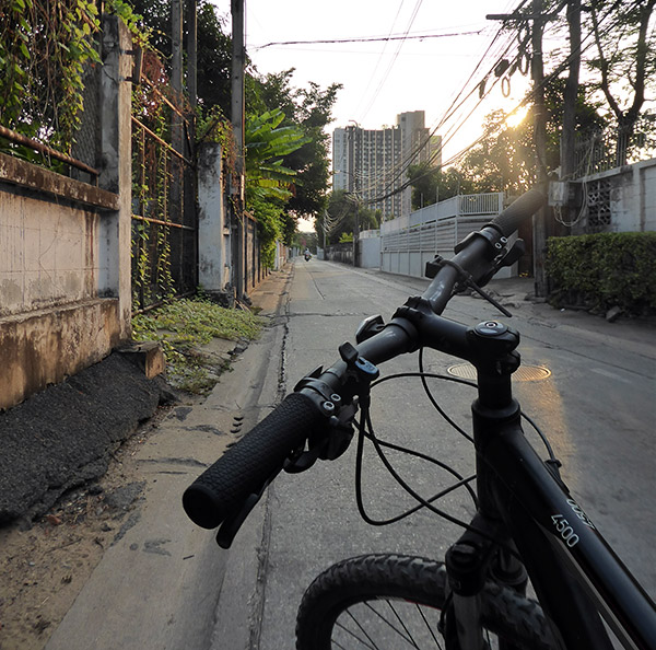 Perfect time for a ride. Photo: Ewen Mcleish.