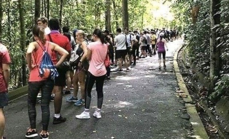 An image purporting to show crowds gathering recently at Bukit Timah Nature Reserve in Singapore.
