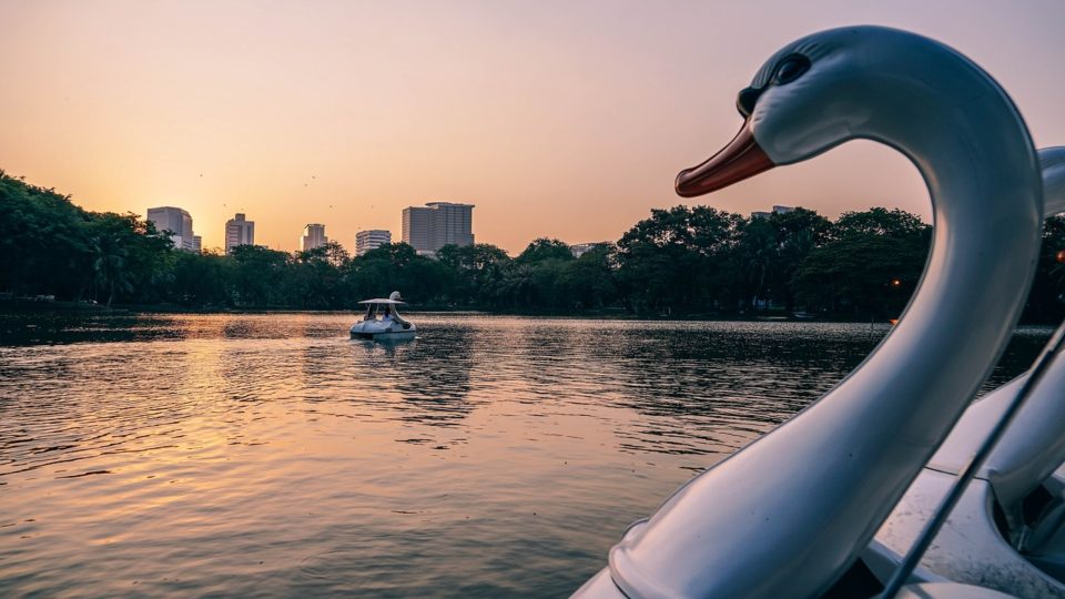 A file photo of Lumphini Park in Bangkok
