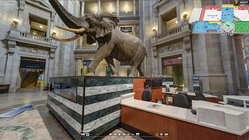 Image: Smithsonian National Museum of Natural History
