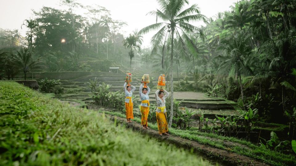 A scene featuring women in traditional clothing in Bali. Photo: Ministry of Tourism and  Creative Economy