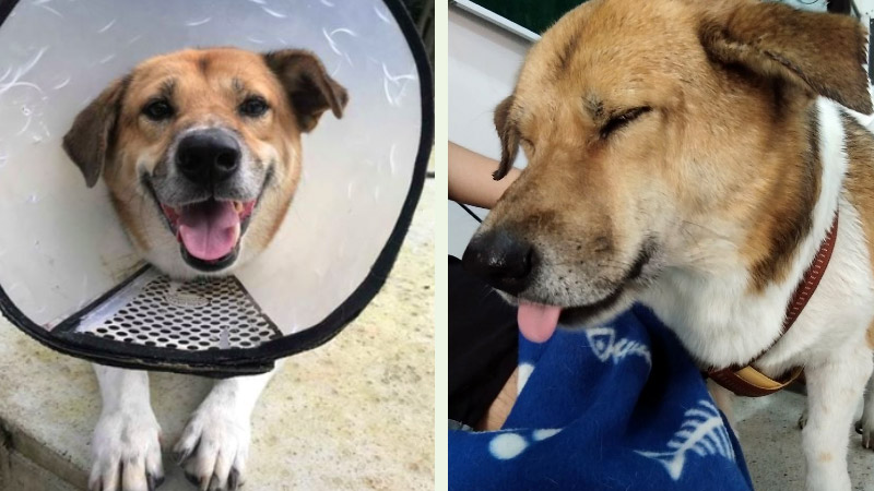 Many faces of Tia. Photos: Tia CMU / Facebook
