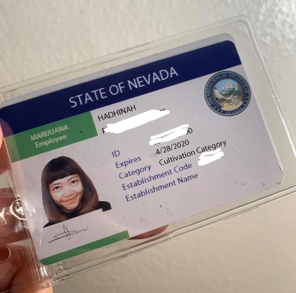 A photo of Hadhinah Fawwazah state ‘marijuana’ license. Photo: Hannah Fawwazah Nasaruddin/Facebook 