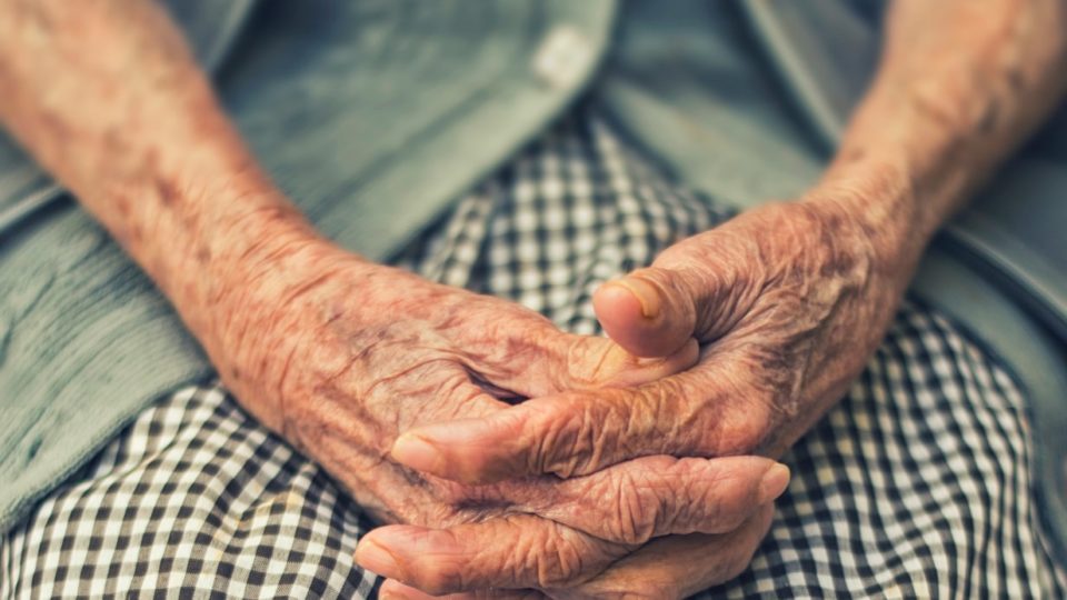 <i>Photo: Cristian Newman / Unsplash</i>