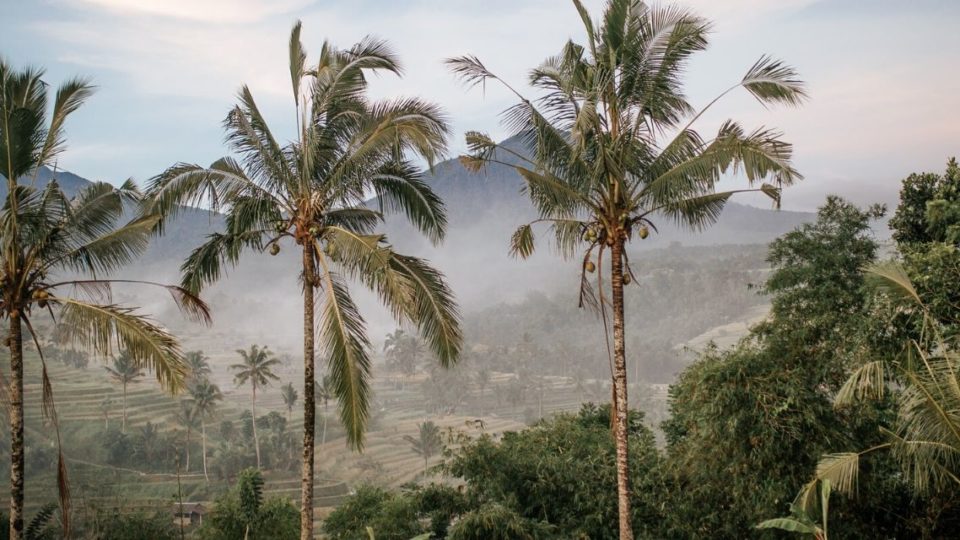 House of Om, a spiritual community/holistic school is located in Gianyar regency and about a half hour drive from the center of Ubud. Photo: Unsplash