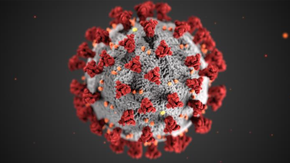 A visualization of the coronavirus via US Centers for Disease Control and Prevention