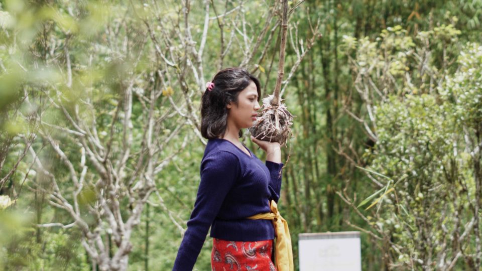 Forest Smoothie said they have partnered with over 30 cafes and restaurants in seven countries in the past year. Photo courtesy of Forest Smoothie.