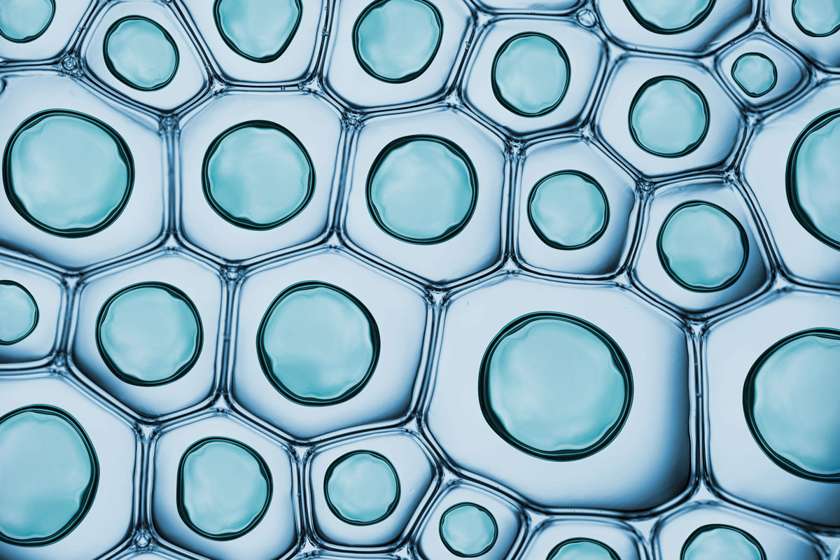 Photo: Science Centre Singapore