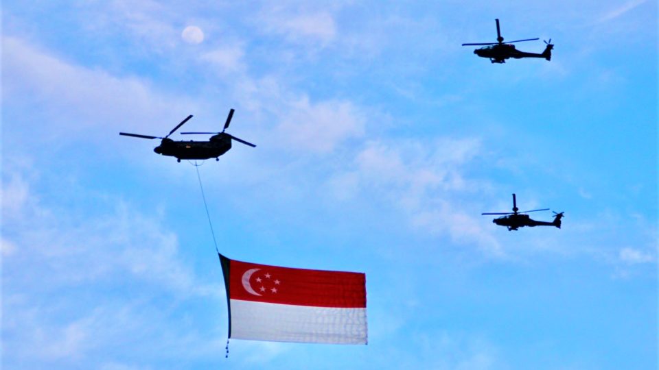 State flag flypast. Photo: NDP website