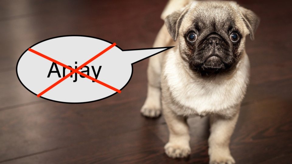 Saying word “anjay” as a slur is apparently a crime in Indonesia.