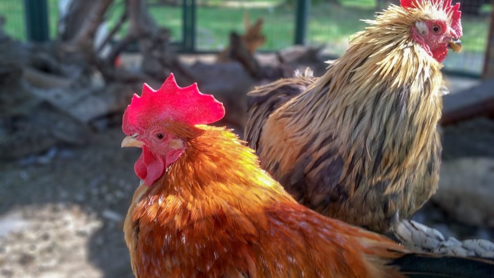 <i>Photo: Unsplash </i>