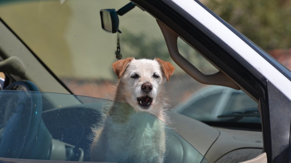 Photo: Flickr/Tracie Hall