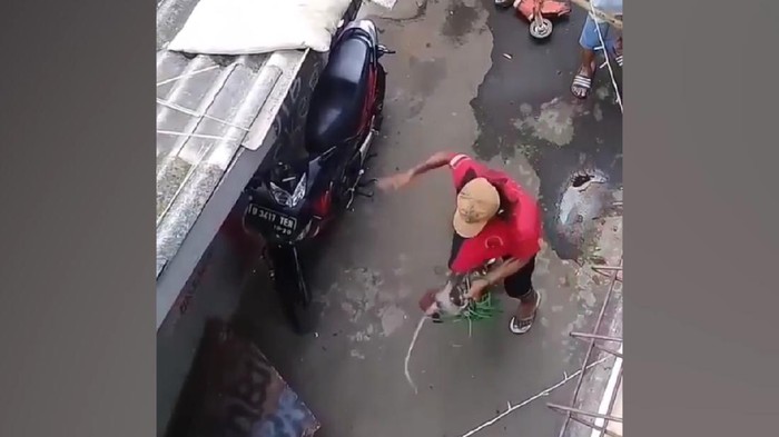 Screengrab of a monkey trainer abusing a macaque in East Jakarta.